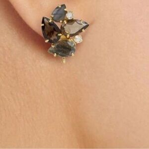 Bounkit Labradorite Smoky Quartz Earrings NWT